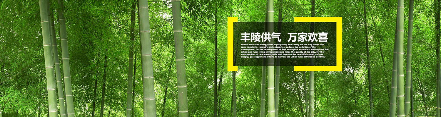 濟(jì)寧明輝電器有限公司